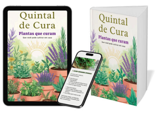 mockup-png-otimizado